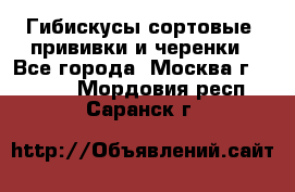 Гибискусы сортовые, прививки и черенки - Все города, Москва г.  »    . Мордовия респ.,Саранск г.